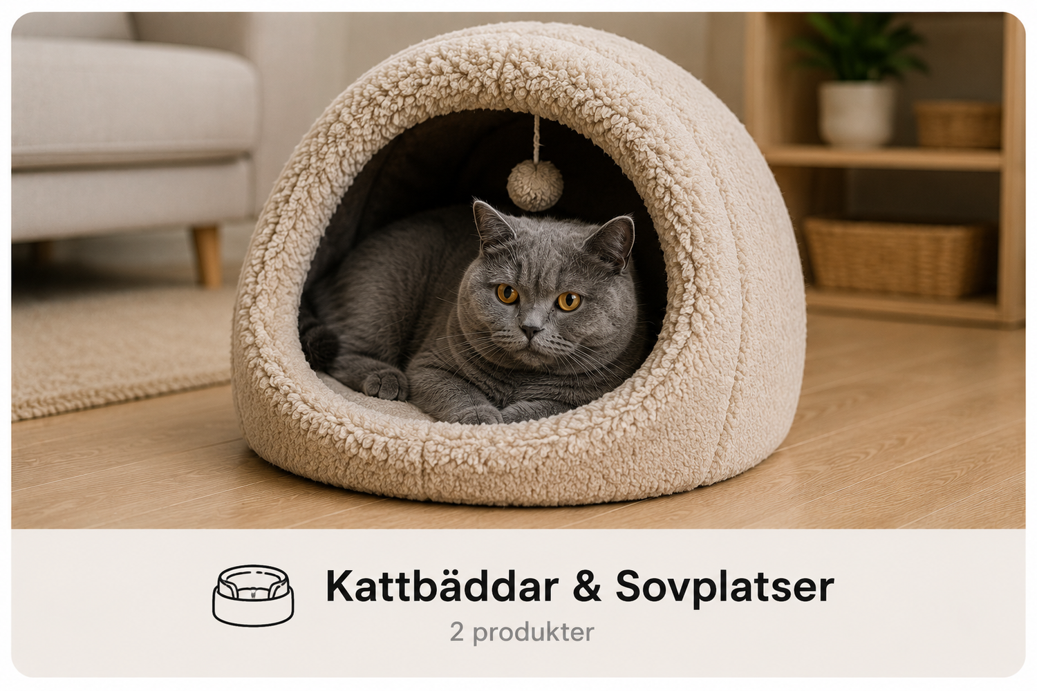 Kattbäddar & Sovplatser