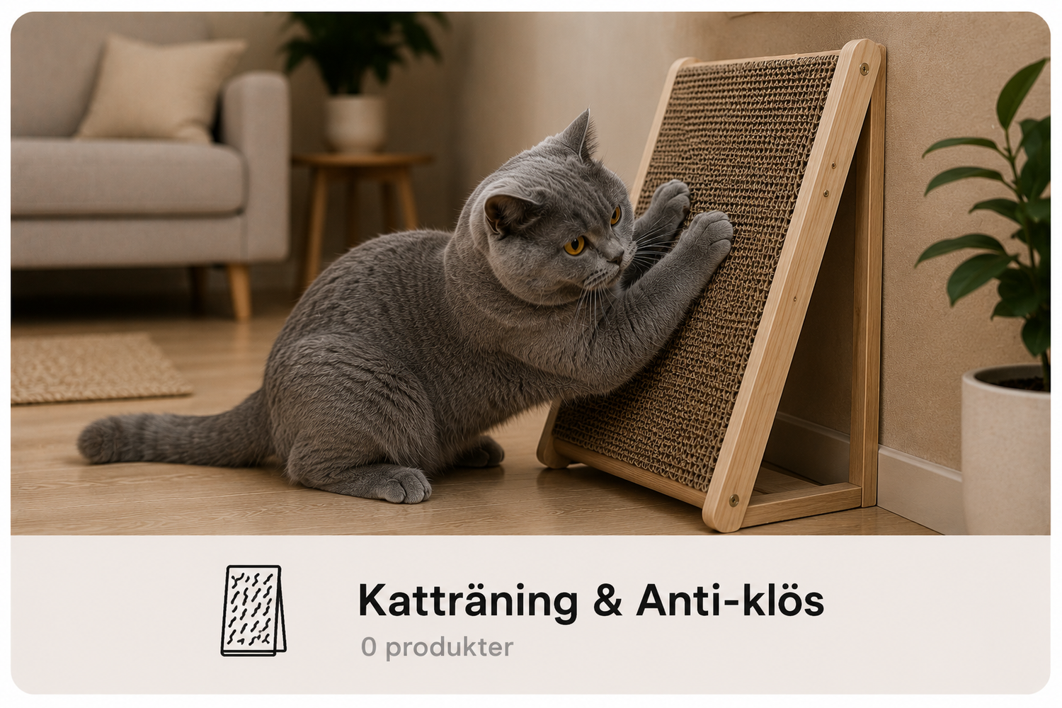 Katträning & Anti-klös