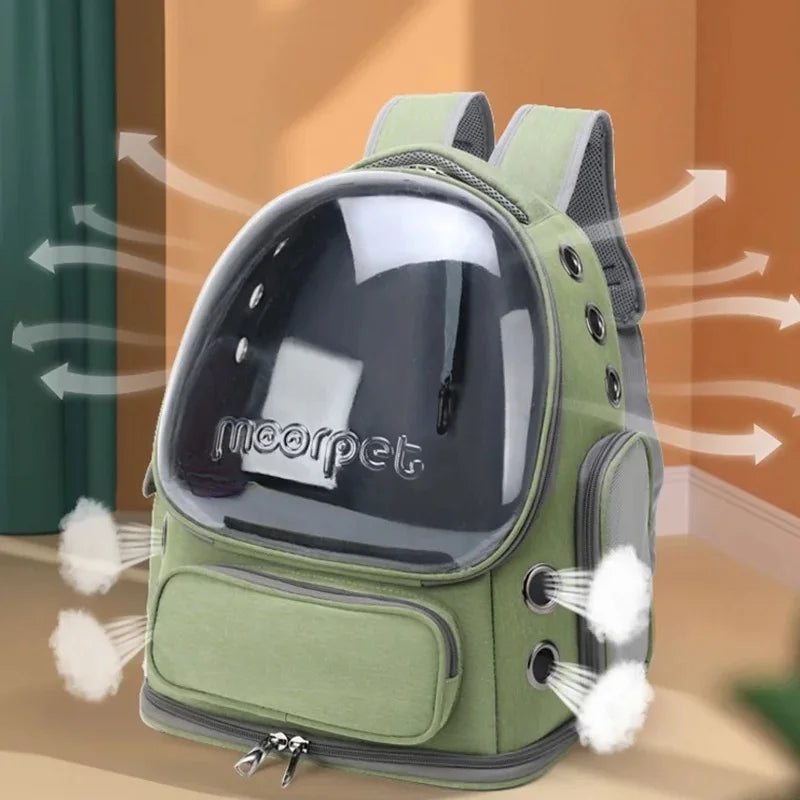 Kattryggsäck Explorer™