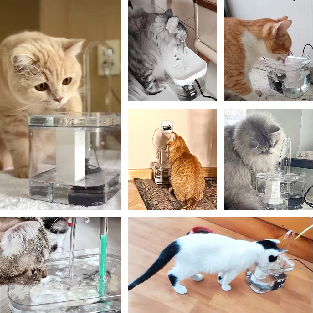 CrystalFlow™ Kattfontän