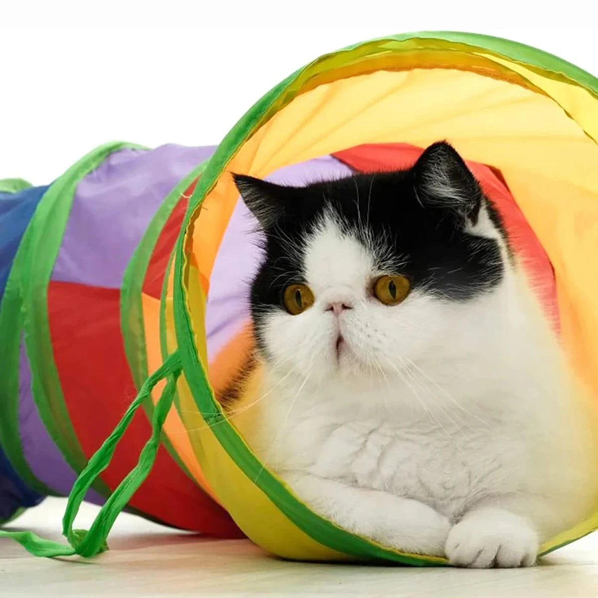 Prinsens Choice Kattlektunnel Deluxe