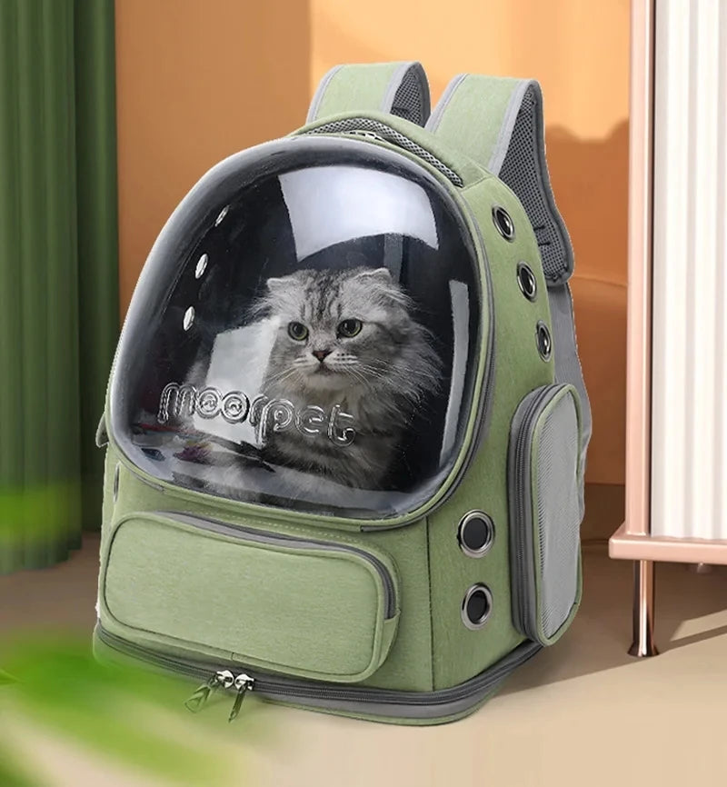 Kattryggsäck Explorer™