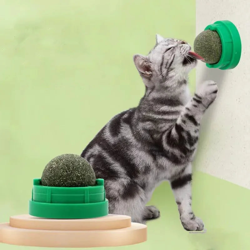Prinsens Choice Kattmyntaboll