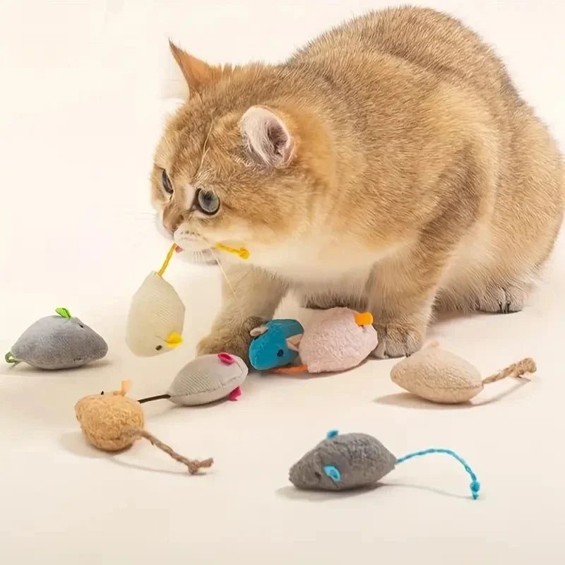Prinsens Choice Musset för Katt 3-Pack / 7-Pack