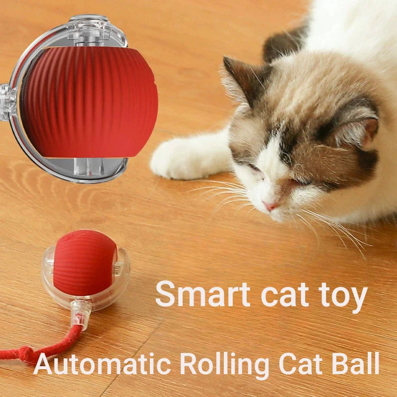 Smart Kattboll Pro