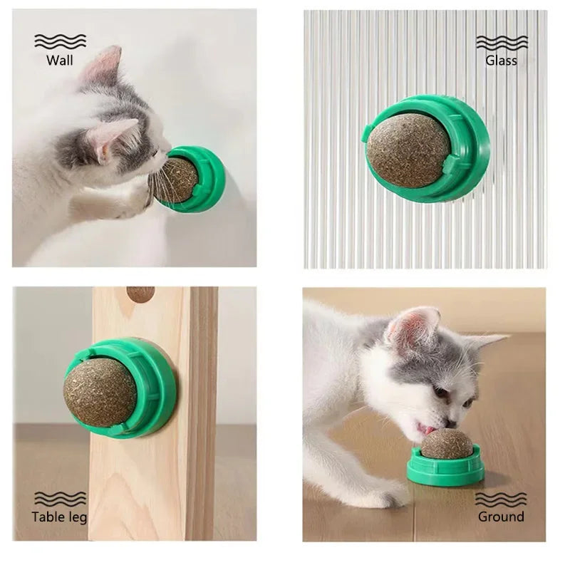 Prinsens Choice Kattmyntaboll