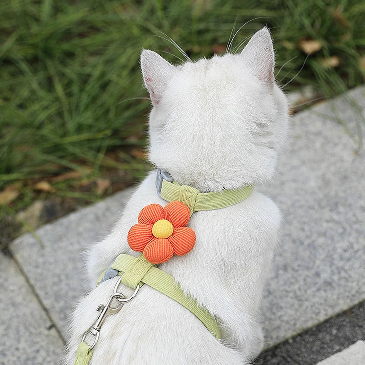 Prinsens Choice Blomsele med Koppel för Katt