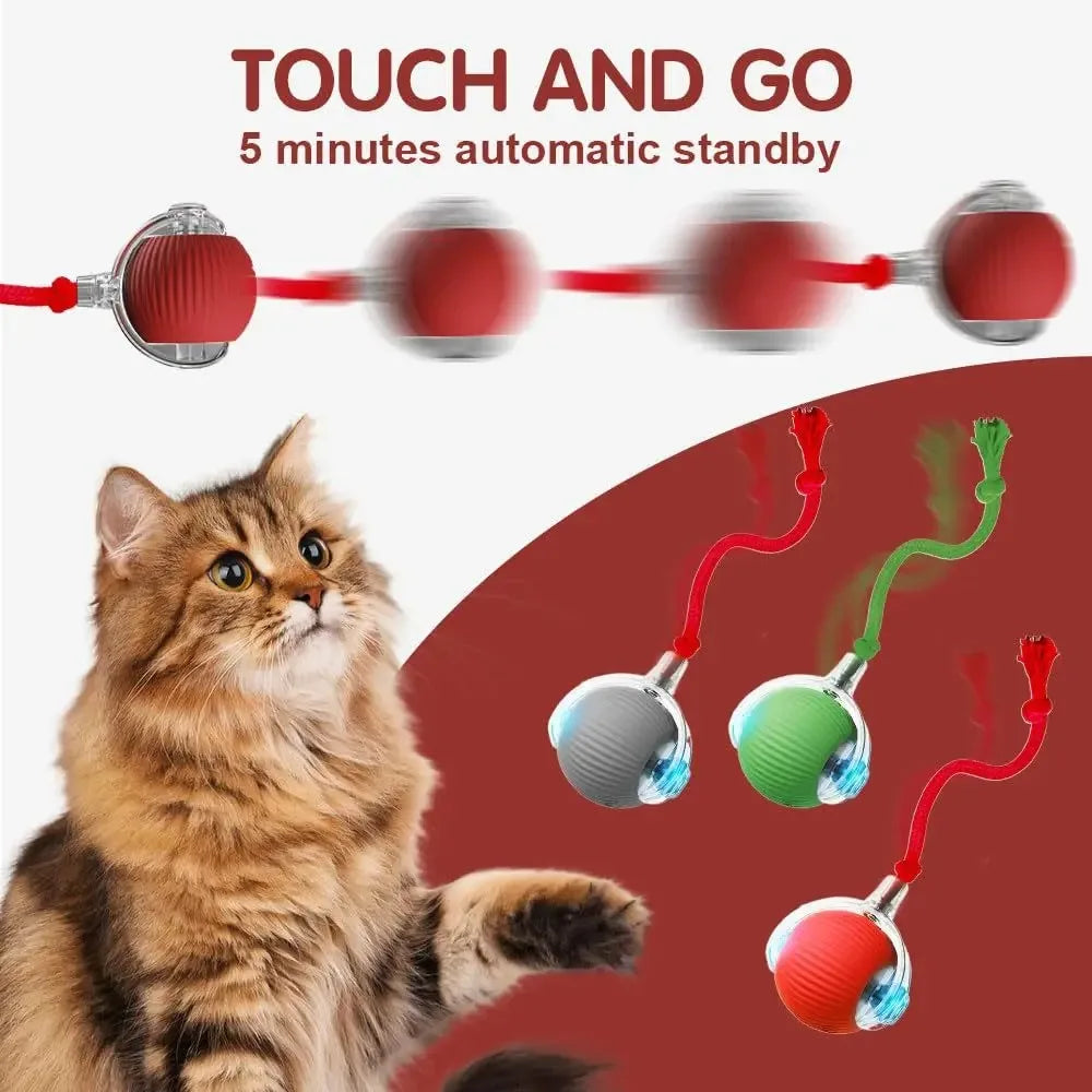 Smart Kattboll Pro