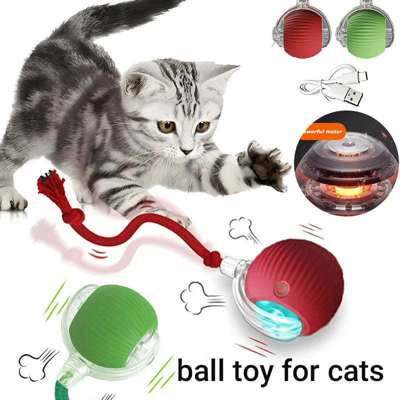 Smart Kattboll Pro